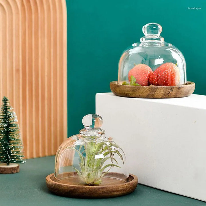 Acacia Wood Platter with Glass Dome – Wooden Base Serving Tray