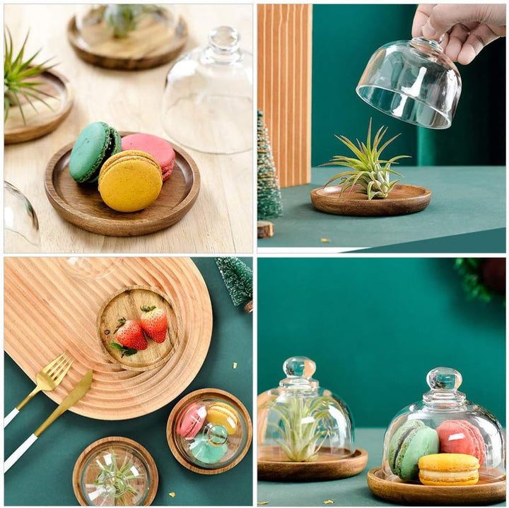 Acacia Wood Platter with Glass Dome – Wooden Base Serving Tray