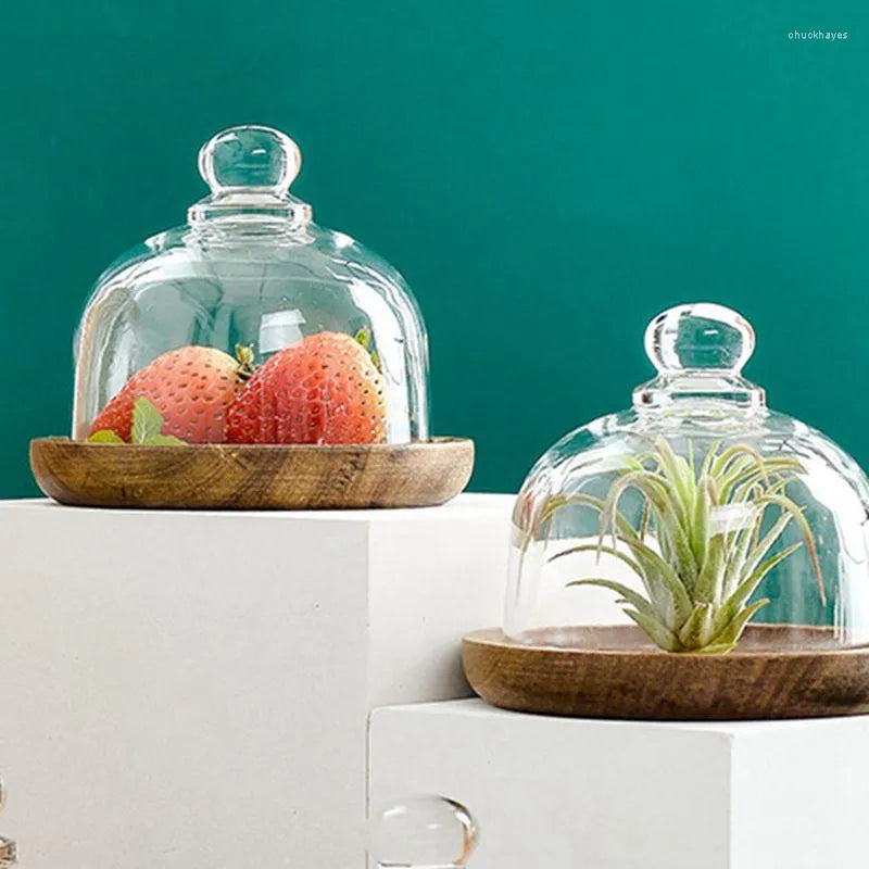 Top-rated glass containers with glass lids