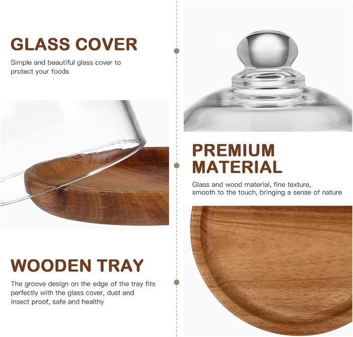 Acacia Wood Platter with Glass Dome – Wooden Base Serving Tray