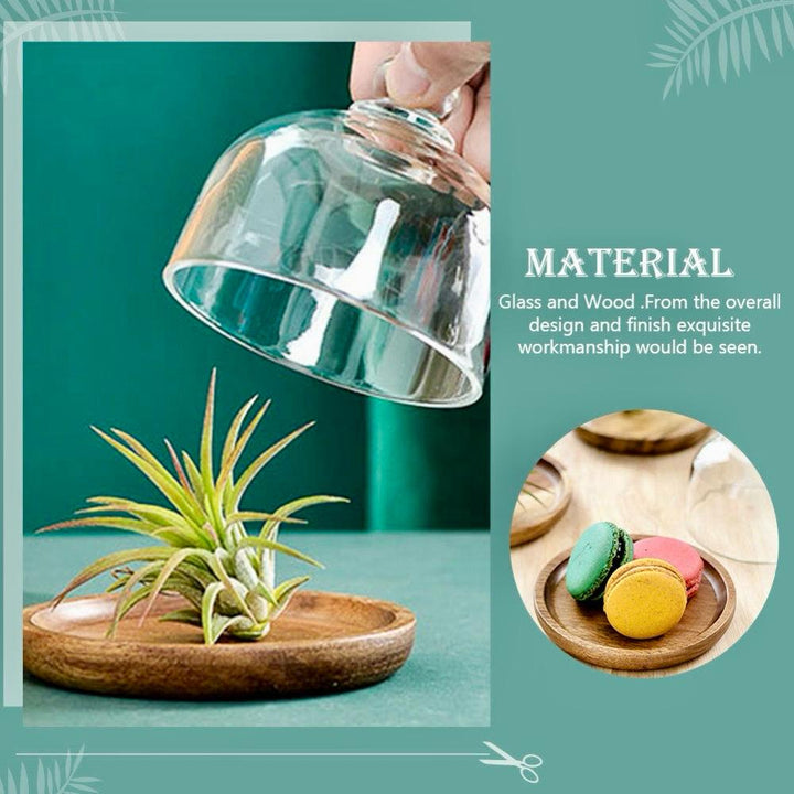 Acacia Wood Platter with Glass Dome – Wooden Base Serving Tray