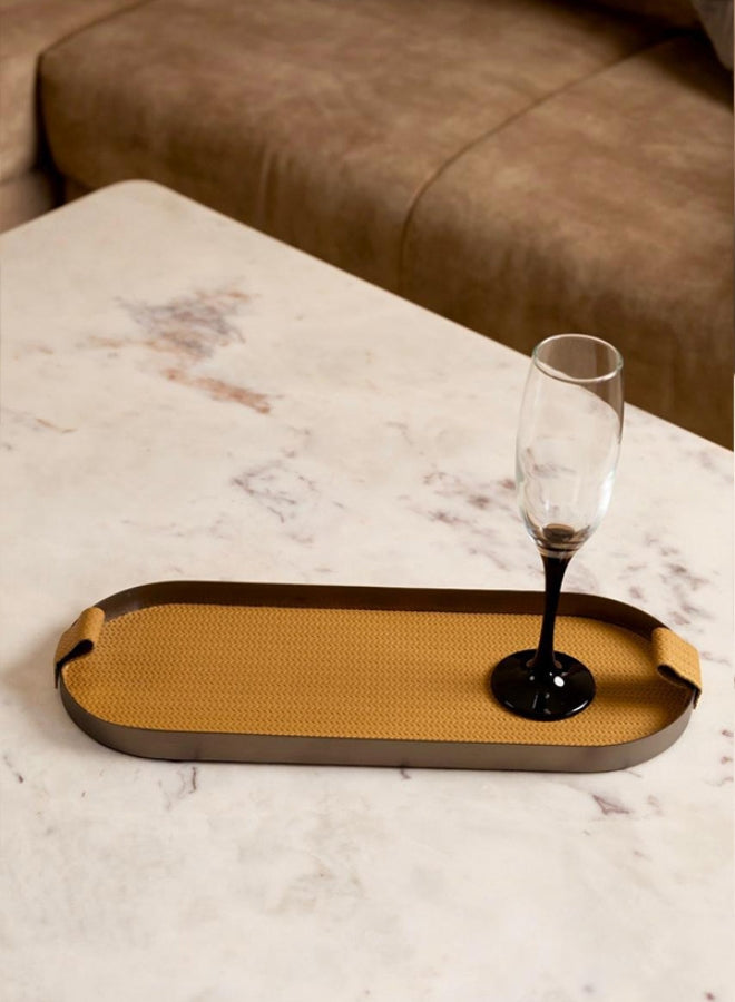 Brown Capsule Leather Tray in Brushed Steel Finish by Casa Quesera